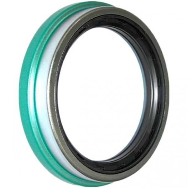 315X355X16 HS5 V SKF cr wheel seal #1 image